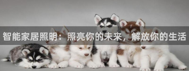 云顶国际平台是真的吗还是假的
