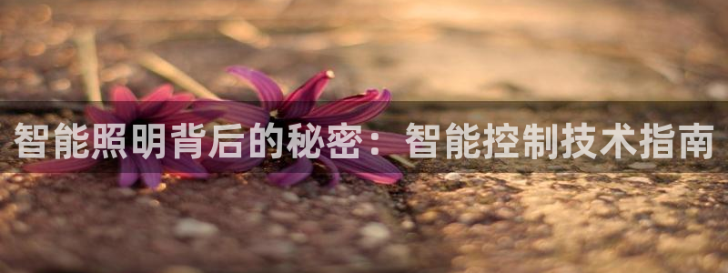 云顶国际商业广场可以充电动车吗