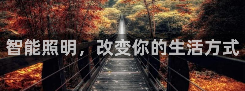 云顶国际服什么时候更新s117