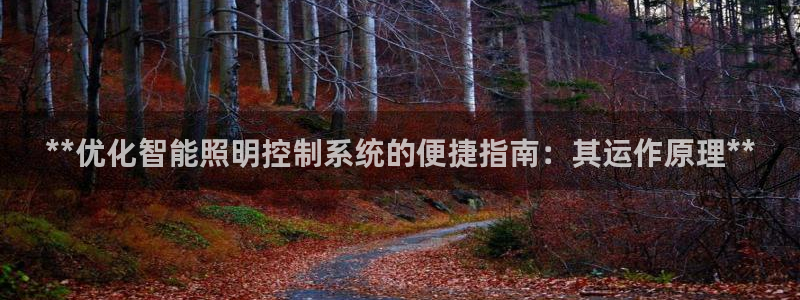 云顶400
