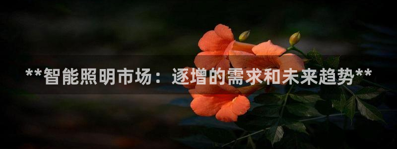 云顶国际KTV会所