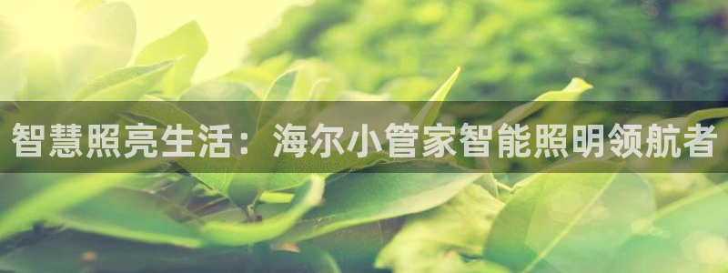 云顶国际服什么时候更新
