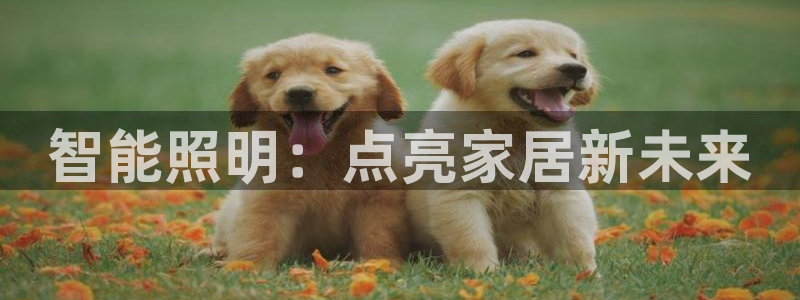 云顶国际婚礼大酒店位于哪里