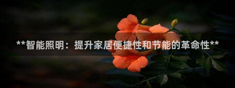 云顶国际游戏网址大全