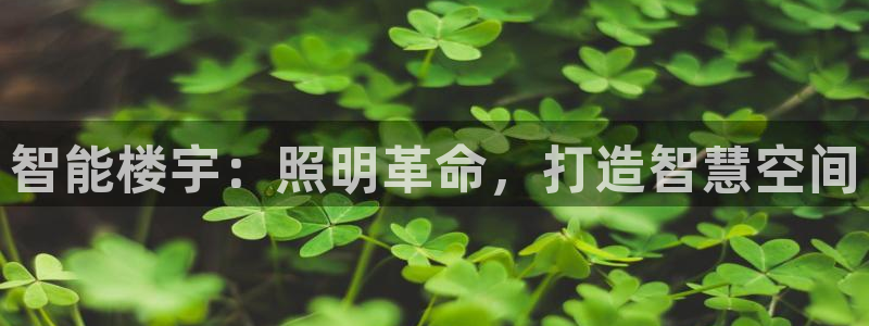 云顶集团简介资料