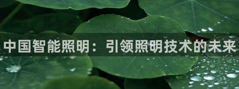云顶集团官网电话号码