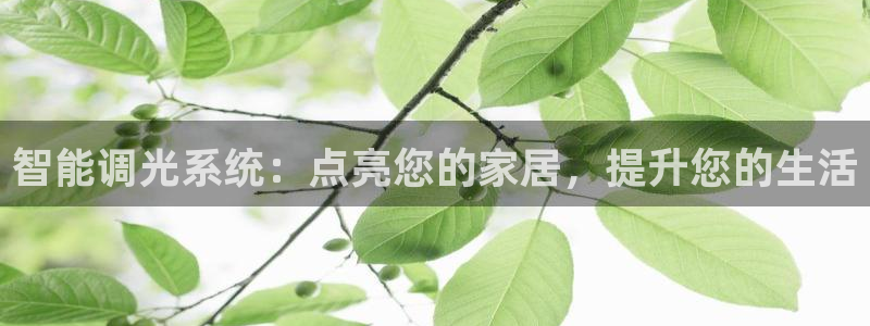 云顶国际晟荣协会会长是谁
