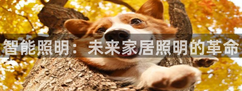 云顶国际平台送彩金58