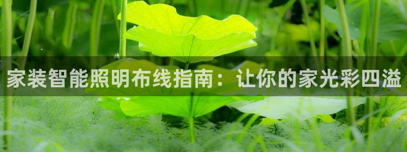 云顶国际app免费下载安卓