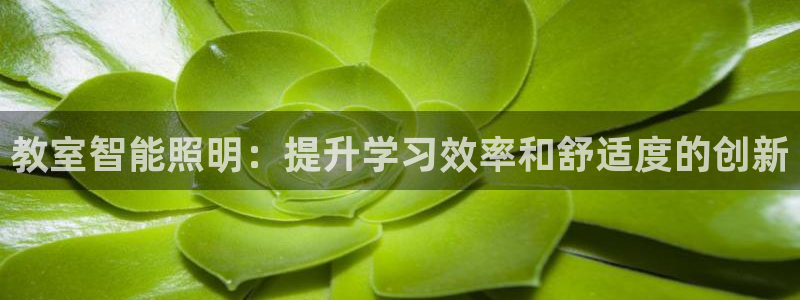 云顶集团游戏app苹果版