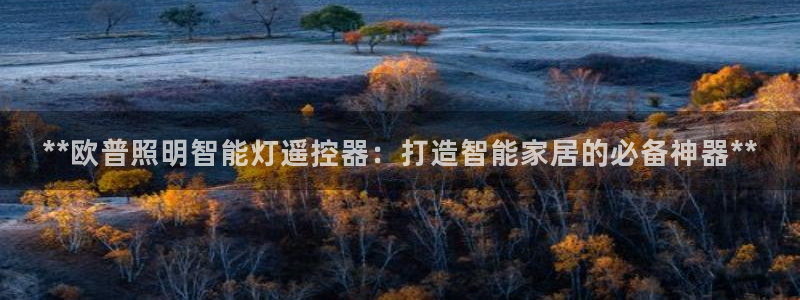 云顶中学国际部