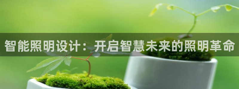 云顶电竞app怎么样