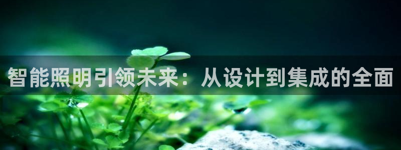 云顶国际酒店老板