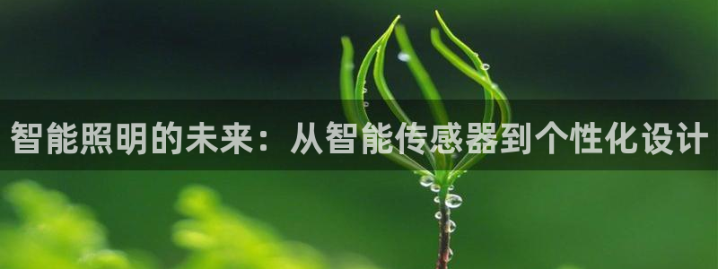 云顶国际培训中心地址