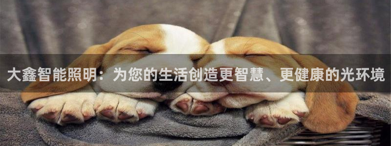 云顶国际服是哪个服