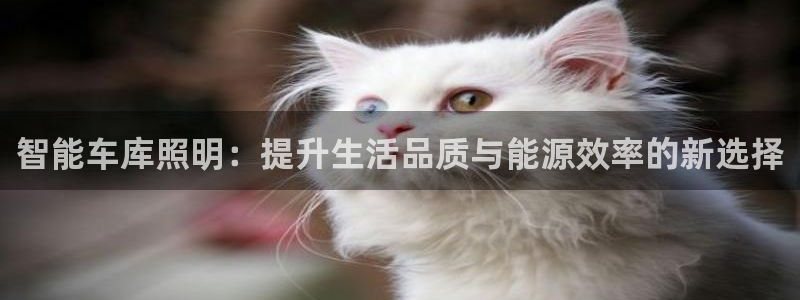 云顶集团王天才简介