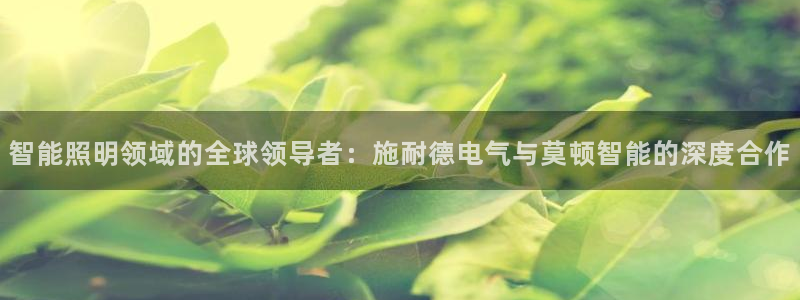 云顶集团市值