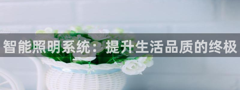 2322云顶国际手机版