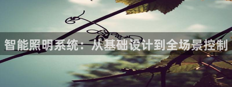 云顶国际服联机