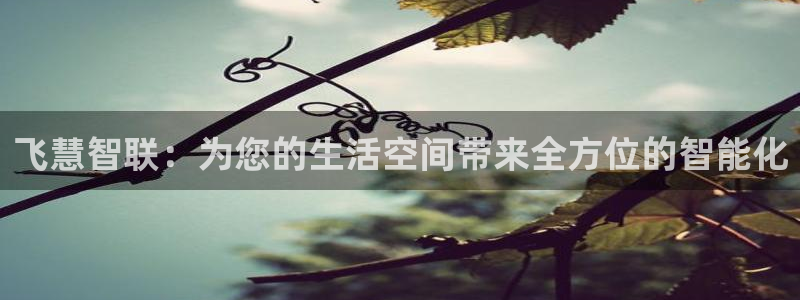 云顶国际平台违法吗?：飞慧智联：为您的生