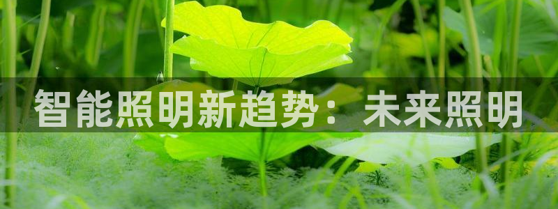 云顶国际KTV商务会所(新华街南段店)简