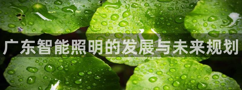 云顶集团林志华简介