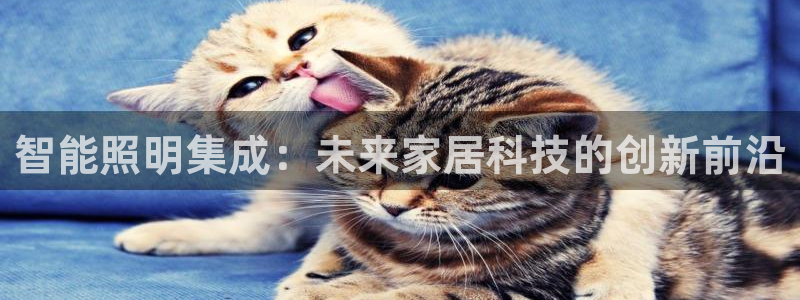 云顶国际官方网站入口