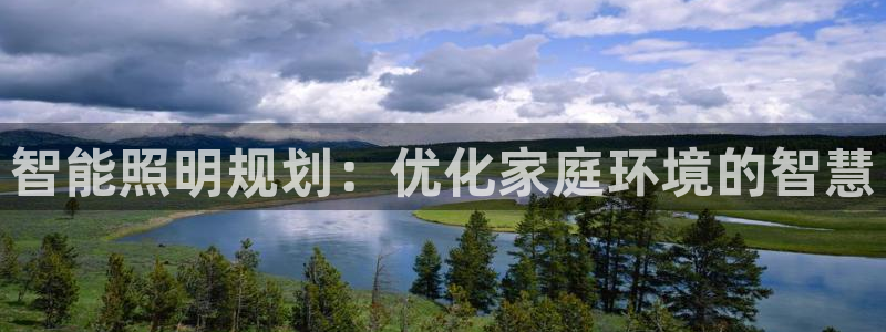 云顶国际集团发展有限公司国内项目总经理