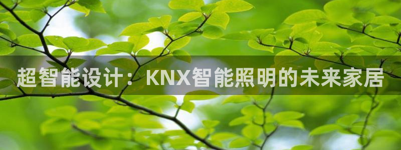 云顶最新t1