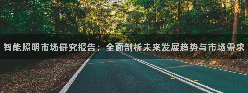 云顶集团下载app：智能照明市场研究报告