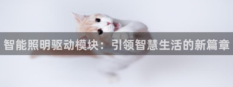 云顶国际大酒店有外卖吗