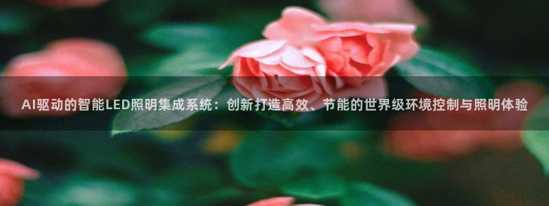 云顶国际部一年学费