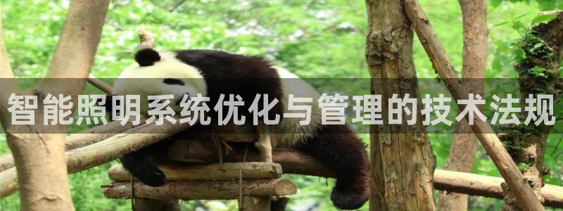 云顶国际投资有限公司怎么样