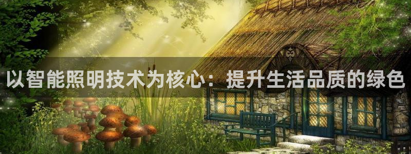云顶国际集团 深圳