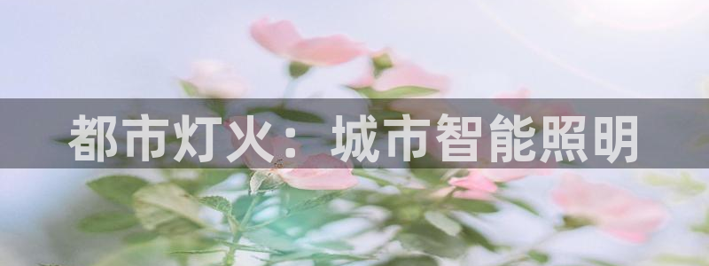 云顶国际高中d s e班学费多少：都市灯